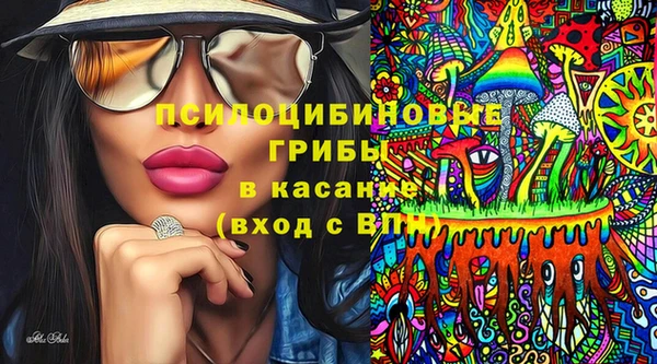 2c-b Алзамай
