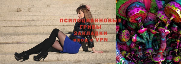 2c-b Алзамай