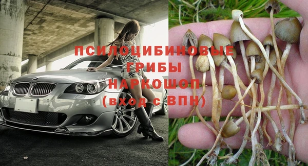 2c-b Алзамай
